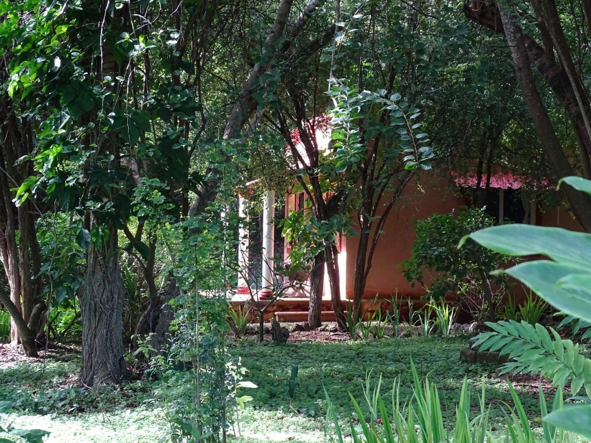 The Flycatcher Inn Retreat Hotel Santa Elena Zewnętrze zdjęcie
